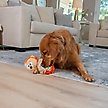 Show in main carousel: Nina Ottosson by Outward Hound Stuff N' Snuffle Interactive Plush Puzzle & Snuffle Ball Dog Toy slide 7 of 10