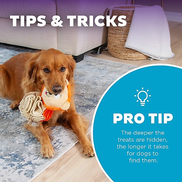 Show full view: Nina Ottosson by Outward Hound Stuff N' Snuffle Interactive Plush Puzzle & Snuffle Ball Dog Toy slide 5 of 10