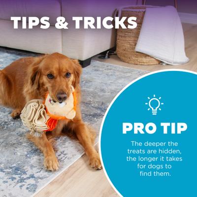 Show full view: Nina Ottosson by Outward Hound Stuff N' Snuffle Interactive Plush Puzzle & Snuffle Ball Dog Toy slide 5 of 10