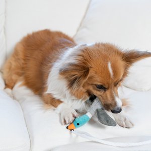 Outward Hound Tail Teaser Interactive Wand Dog Toy