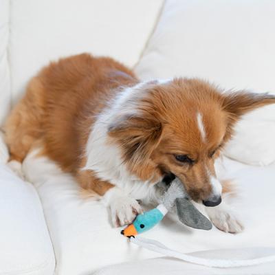 Show full view: Outward Hound Tail Teaser Interactive Wand Dog Toy slide 6 of 9