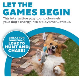 Outward Hound Tail Teaser Interactive Wand Dog Toy