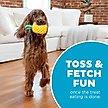 Show in main carousel: Outward Hound Dental Pineapple 2-in-1 Interactive Dog Chew & Treat Dispensing Toy, Medium, Yellow slide 5 of 10