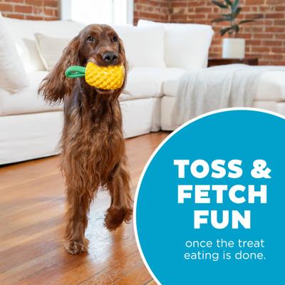 Show full view: Outward Hound Dental Pineapple 2-in-1 Interactive Dog Chew & Treat Dispensing Toy, Medium, Yellow slide 5 of 10