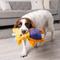 Show in main carousel: Outward Hound Puzzle Palz Interactive Plush Squeaky Dog Toy slide 8 of 11
