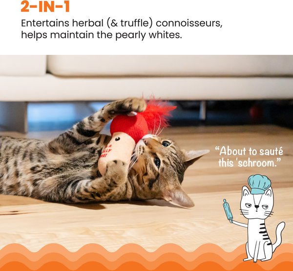 Show full view: Catstages A Really Fungi Mushroom Themed Funny Stuffed Kicker Plush & Dental Cat Toy with Catnip slide 2 of 9