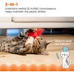 Show in main carousel: Catstages A Really Fungi Mushroom Themed Funny Stuffed Kicker Plush & Dental Cat Toy with Catnip slide 2 of 9