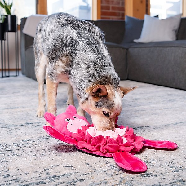Show full view: Nina Ottosson by Outward Hound Snuffle Palz Interactive Plush Puzzle & Snuffle Mat Dog Toy, Bear slide 5 of 8