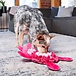 Show in main carousel: Nina Ottosson by Outward Hound Snuffle Palz Interactive Plush Puzzle & Snuffle Mat Dog Toy, Bear slide 5 of 8