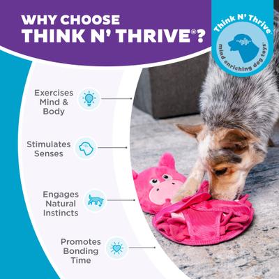 Show full view: Nina Ottosson by Outward Hound Snuffle Palz Interactive Plush Puzzle & Snuffle Mat Dog Toy, Bear slide 7 of 9