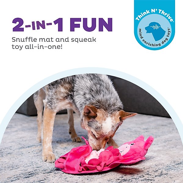 Show full view: Nina Ottosson by Outward Hound Snuffle Palz Interactive Plush Puzzle & Snuffle Mat Dog Toy, Bear slide 2 of 8