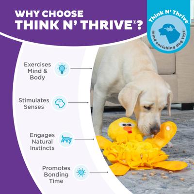 Show full view: Nina Ottosson by Outward Hound Snuffle Palz Interactive Plush Puzzle & Snuffle Mat Dog Toy, Bird slide 7 of 10