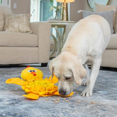 Show full view: Nina Ottosson by Outward Hound Snuffle Palz Interactive Plush Puzzle & Snuffle Mat Dog Toy, Bird slide 6 of 10