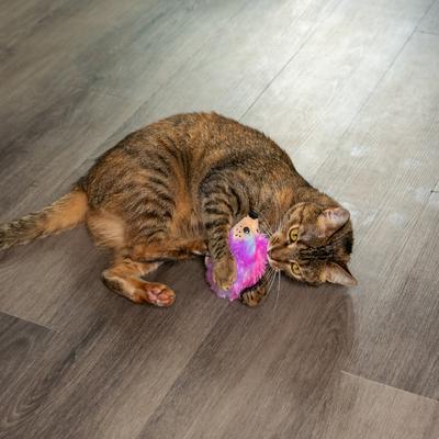 Show full view: Catstages Catnip Plushies Hedgehog Plush Catnip Cat Toy, Multicolor slide 8 of 10