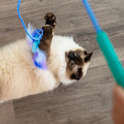 Show full view: Catstages Tail Teaser Air Prey Play Wand Cat Toy, Blue slide 8 of 11