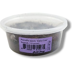 Josh's Frogs Porcellio Laevis 'Dairy Cow' Isopods Live Feed Reptile Food, 10 count