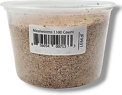 Josh's Frogs Mealworms Live Feed Reptile Food, 1100 count