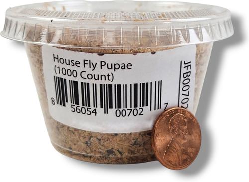 Show full view: Josh's Frogs House Fly Pupae Live Feed Reptile Food, 1000 count slide 4 of 9
