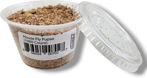 Show full view: Josh's Frogs House Fly Pupae Live Feed Reptile Food, 1000 count slide 3 of 9