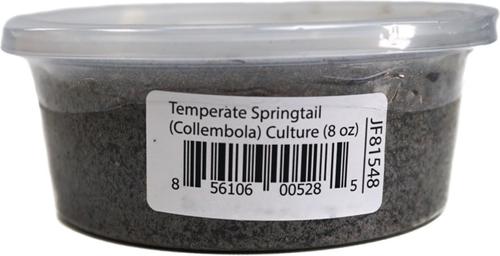 Show full view: Josh's Frogs Bioactive Bundle Live Feed Reptile Food: Dwarf Tropical White Isopods, 25 count + Temperate Springtails, 8-oz slide 4 of 10