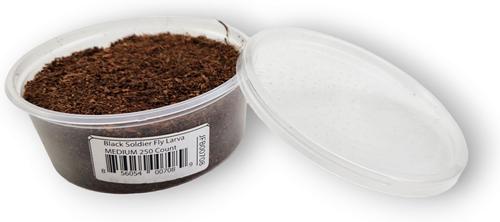 Show full view: Josh's Frogs Black Soldier Fly Larvae Live Feed Reptile Food, Medium, 250 count slide 4 of 10