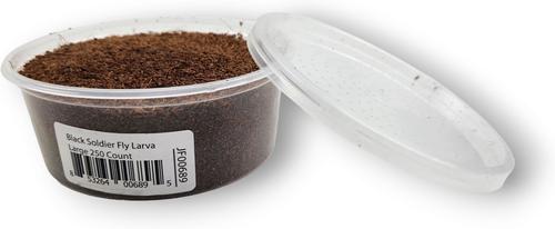 Show full view: Josh's Frogs Black Soldier Fly Larvae Live Feed Reptile Food, Large, 250 count slide 3 of 10