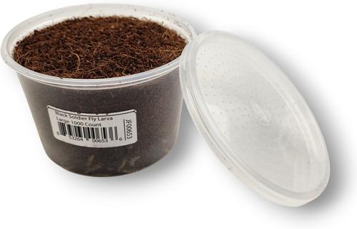 Show full view: Josh's Frogs Black Soldier Fly Larvae Live Feed Reptile Food, Large, 1000 count slide 4 of 10