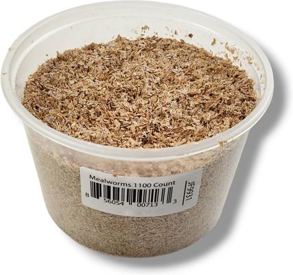 Show full view: Josh's Frogs Mealworms Live Feed Reptile Food, 1100 count slide 2 of 9