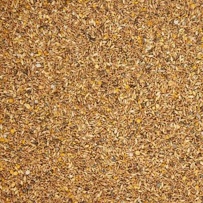 Show full view: Scratch and Peck Feeds Organic Chicken & Duck Feed 16% Layer Mash, 25-lb bag slide 7 of 10