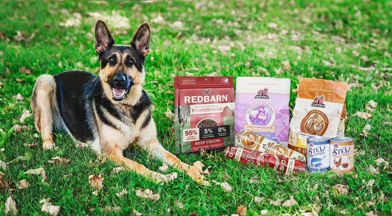 Redbarn Grain Free Land Recipe Dry Dog Food 4 Lb Photo Inspiration