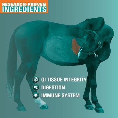 Show full view: Vitalize Alimend 24/7 Equine Stomach Comfort Liquid Horse Supplement, 64-fl oz bottle slide 4 of 6