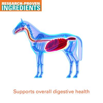 Show full view: Vitalize Digest More Plus Pellets Horse Supplement, 10-lb bag slide 5 of 5