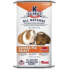 Kalmbach Feeds All Natural Guinea Pig Select Food, 50-lb bag