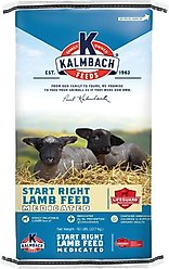 Kalmbach Feeds Start Right Lamb Creep Young Sheep Feed, 50-lb bag