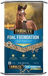 Tribute Equine Nutrition Foal Foundation Milk-Based Horse Feed, 50-lb bag