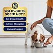Show in main carousel: Solid Gold Mobility Support Beef & Vegetables Wet Dog Food, 3.5-oz cup, case of 6 slide 5 of 11