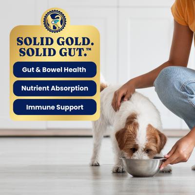 Show full view: Solid Gold Mobility Support Beef & Vegetables Wet Dog Food, 3.5-oz cup, case of 6 slide 5 of 11