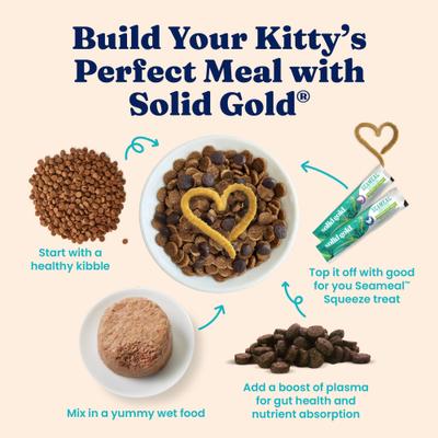 Show full view: Solid Gold Tropical Blendz with Salmon & Coconut Oil Pate Grain-Free Canned Cat Food, 6-oz, case of 8 slide 8 of 11