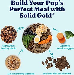 Solid Gold Mighty Mini Turkey & Hearty Vegetable Recipe in Gravy Grain-Free Small Breed Dog Food Cups, case of 12 slide 2 of 9