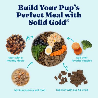 Show full view: Solid Gold Mighty Mini Turkey & Hearty Vegetable Recipe in Gravy Grain-Free Small Breed Dog Food Cups, case of 12 slide 8 of 12