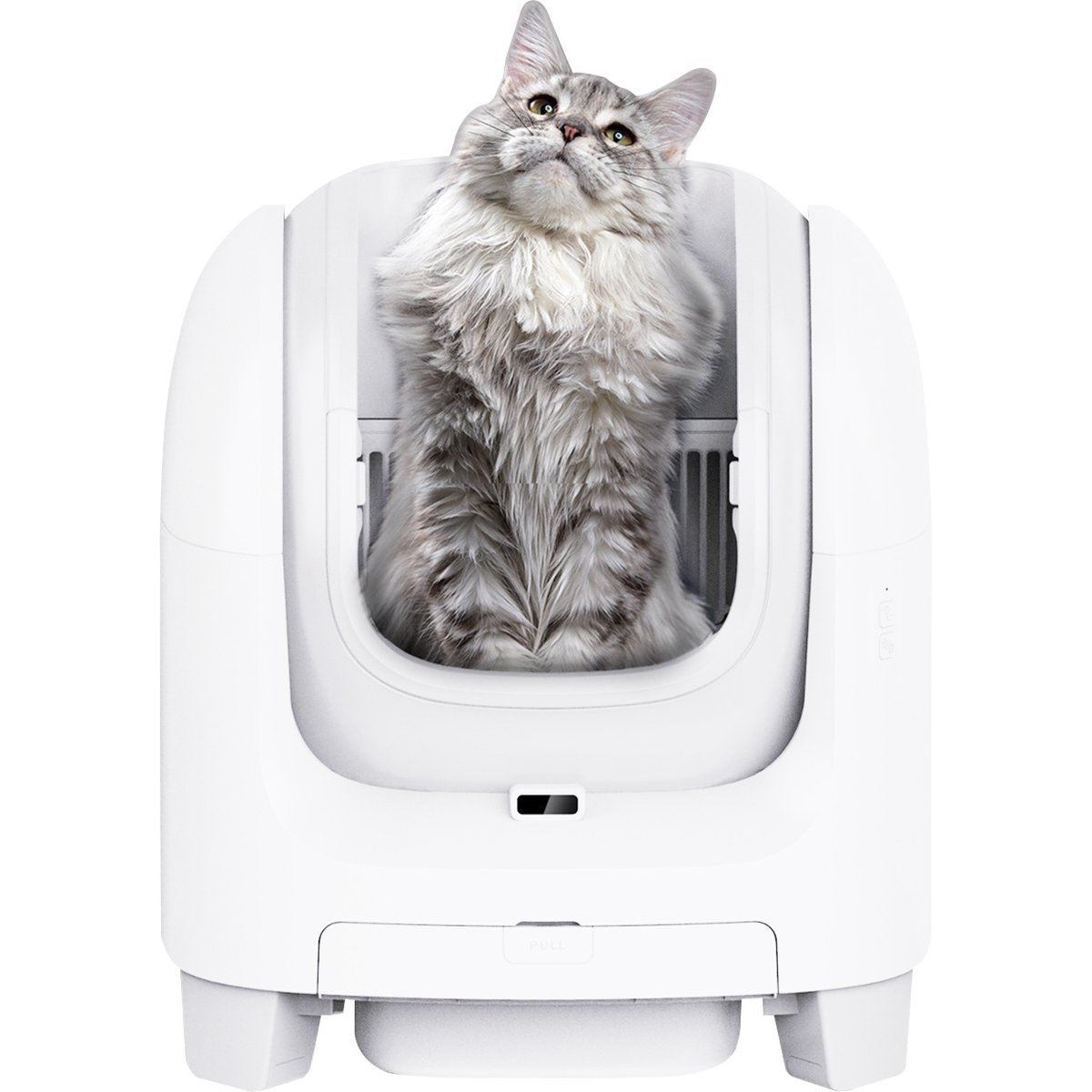 INSTACHEW Purrclean Essential Cat litter Box