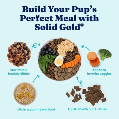 Show full view: Solid Gold Skin & Coat Support Chicken & Salmon Wet Dog Food, 3.5-oz cup, case of 6 slide 7 of 11