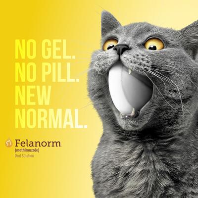 Show full view: Felanorm (Methimazole) Oral Solution for Cats, 5 mg/mL, 100 mL slide 3 of 7