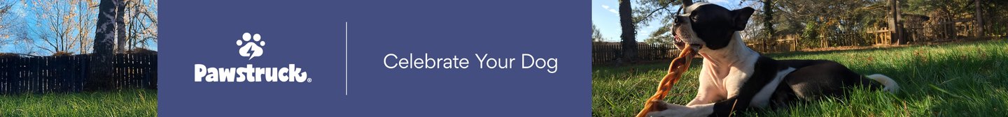 Pawstruck. Celebrate your dog