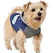 Show in main carousel: Frisco Starry Night Dog & Cat Hoodie, Small slide 3 of 11