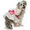 Show in main carousel: Frisco Dainty Pink Floral Dog & Cat Dress, Floral, Large slide 1 of 8