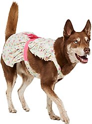 Frisco Dainty Pink Floral Dog & Cat Dress, Floral, X-Large