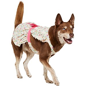 Frisco Dainty Pink Floral Dog & Cat Dress, Floral, X-Large