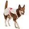 Show in main carousel: Frisco Dainty Pink Floral Dog & Cat Dress, Floral, X-Large slide 1 of 8