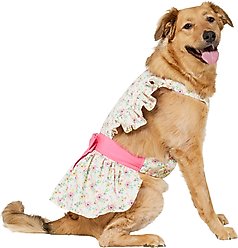Frisco Dainty Pink Floral Dog & Cat Dress, Floral, XX-Large